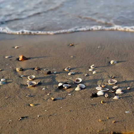 Charming Coastal In Appartement