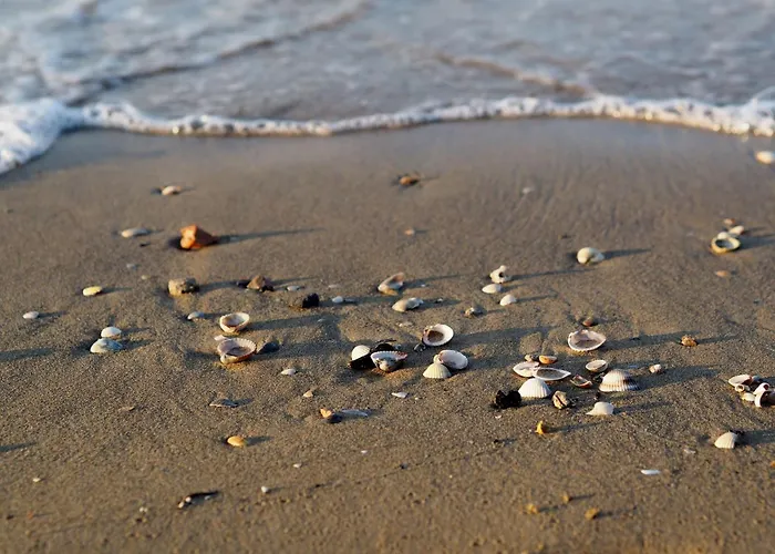 Charming Coastal In Appartement